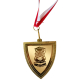 Medal złoty SOWA 50x55 mm